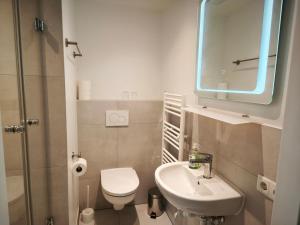 a bathroom with a toilet and a sink and a mirror at SPITZAUERs APARTMENTs in Anthering
