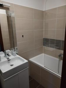 a bathroom with a sink and a shower and a tub at Oliver apartmán 6 in Štrbské Pleso