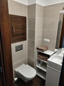 a small bathroom with a toilet and a sink at Oliver apartmán 6 in Štrbské Pleso