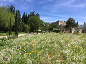 a field of flowers with a house in the background at Domaine Les Martins in Gordes