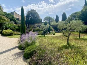 a garden with a cactus and purple flowers at Domaine Les Martins in Gordes