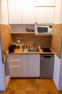 a small kitchen with a sink and a microwave at Apartmán Grimming in Tauplitz