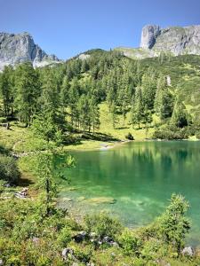 a green lake with trees and mountains in the background at Apartmán Grimming in Tauplitz