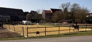 a group of animals in a fenced in field at Ferienwohnung Am Sonnenrain in Albshausen