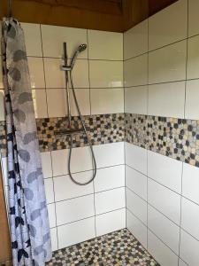 a shower with a hose in a bathroom at La Clé Des Champs in Biltzheim +38 photos