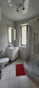 a bathroom with a shower and a sink and a toilet at Solińskie Podgórze in Solina +10 photos