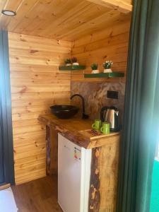 a kitchen with a sink and a refrigerator at Lahza Tiny House in Çamlıhemşin