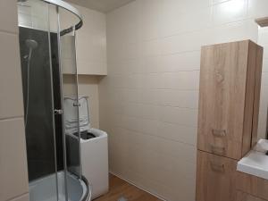 a bathroom with a shower and a toilet and a sink at Penzion Iris in Albrechtice +31 photos