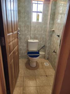 a bathroom with a toilet with a blue seat at Pure excellence homes in Ruiru