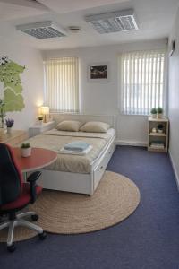 a bedroom with a bed and a desk and a table at Hobeda 6 Guest House in Tallinn +63 photos