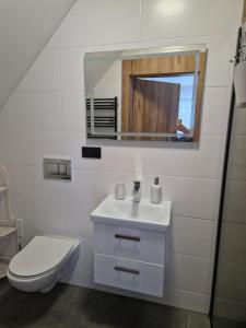 a bathroom with a toilet and a sink and a mirror at Port Bobięcino in Bobięcino +14 photos