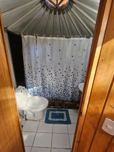 a bathroom with a toilet and a shower in a yurt at Loma Sanchez in San Pedro de Atacama +39 photos