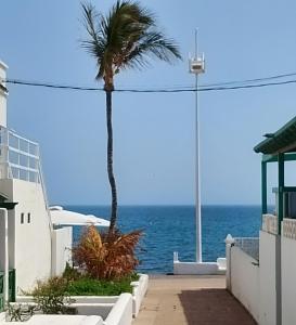 a palm tree in front of the ocean at Sunhouse in Playa Honda