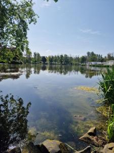 a large body of water with trees in the background at Haggerston Castle Towerlawn 50 in Cheswick