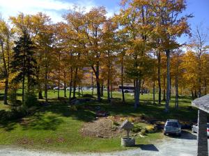 einen Herbstblick auf einen Park mit Bäumen und Autos in der Unterkunft Cascades Lodge in Killington