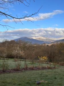 a view of a field with mountains in the distance at Le nid du Curtil - Chambre d'hôtes in Rougegoutte