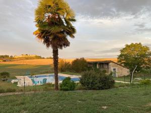 a palm tree next to a swimming pool at Au Charme Charentais Gite geel in Blanzaguet-Saint-Cybard-le-Peyrat +11 photos