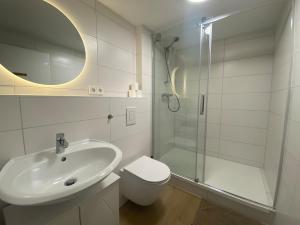 a bathroom with a sink and a toilet and a shower at Ferienwohnung Habichtsnest in Runkel