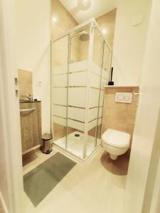 a bathroom with a glass shower and a toilet at Studio 2personnes entrée autonome in La Tronche