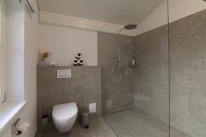 a bathroom with a toilet and a glass shower at Chalet Stadel in Unterwasser +37 photos