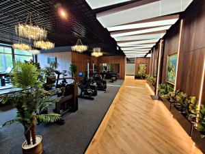 an office lobby with chairs and potted plants at Hotel Platinia in Cluj-Napoca +80 photos