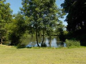 a river with a tree in the middle of a field at Ferienhaus Dieknuest, 15172 in Leer