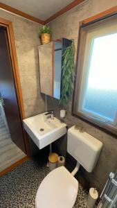 a bathroom with a sink and a toilet and a window at Geniet van rust en privacy in onze gezellige chalet op familiecamping De Tien Heugten in Drenthe in Schoonloo +12 photos