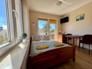 a bedroom with a bed with a large window at SAViTA in Karwia