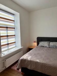 a bedroom with a bed and a window at Mazā Roma in Ventspils