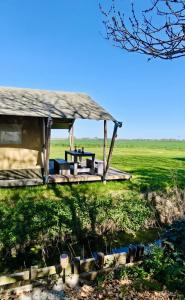 a gazebo with a picnic table in a field at Glamping Safaritent 4 persoons in Hindeloopen