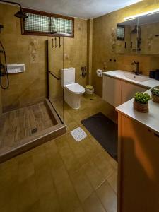 a bathroom with a toilet and a shower and a sink at Aria Seaview Villa in Vourvourou +35 photos