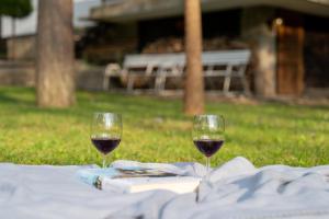 two glasses of red wine sitting on a table at Bolla Nyaralóház in Hegyhátszentjakab +13 photos