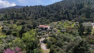 an aerial view of a house in the middle of a forest at Aria Seaview Villa in Vourvourou