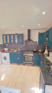 a large kitchen with blue cabinets and appliances at Meadow room in Slough