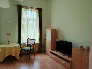 a living room with a tv and a table and a chair at Ferienwohnung am Dom in Verden