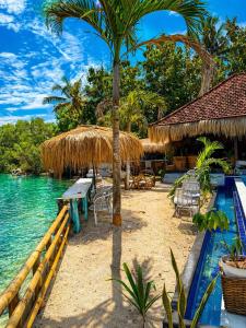 a resort with a palm tree and a swimming pool at Alinn Villas in Nusa Lembongan +35 photos