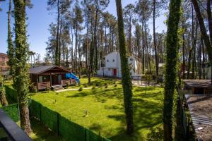 a view of a yard with trees and a house at Magnetoria 3 BR House in pine forest - 3 mins to the sea in Urekis Sadguri