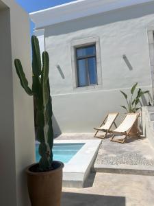 a cactus in a pot next to a pool at Gioma Luxury Villas in Agios Nikolaos