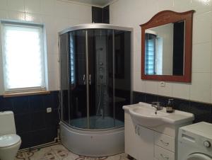 a bathroom with a shower and a sink at Caдиба Ксенія in Sheshory +34 photos