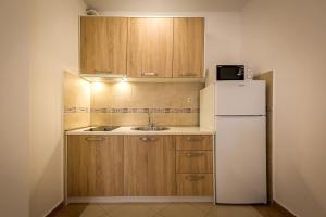 a small kitchen with a refrigerator and a sink at Mango Apartment Petrovac in Petrovac na Moru +10 photos