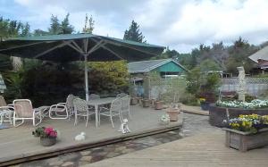 eine Terrasse mit einem Tisch, Stühlen und einem Sonnenschirm in der Unterkunft Applaud BnB in Drury