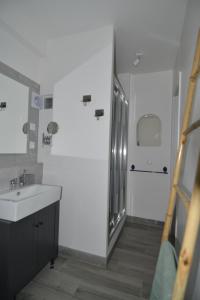 a bathroom with a sink and a shower at Carabas84 in Carpentras