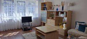 a living room with a tv and a couch and a window at Santariškės Apartment in Vilnius