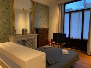 a bedroom with a bed and a fireplace and a television at Albert Molière in Brussels