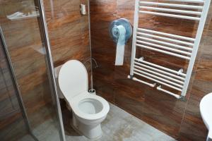 a bathroom with a toilet and a shower at Casa de la Nuc in Târgu Jiu