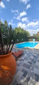 a vase with sticks in it sitting next to a pool at Cabañas Thijada in Mina Clavero