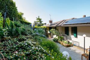 a garden in front of a house with plants at Villa Benaco in Pozzolengo