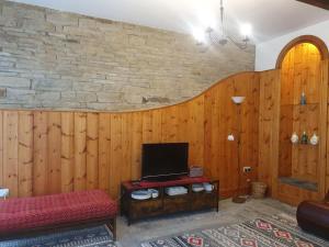 a living room with wooden walls and a tv at Edgerton cottage, large 1-bed detached coach house in town, Spacious rustic charm in Lindley