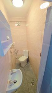a bathroom with a toilet and a sink at Glory room ensuite in Slough