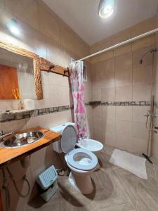 a bathroom with a toilet and a sink and a shower at Maité Hospedaje in Santa María +37 photos